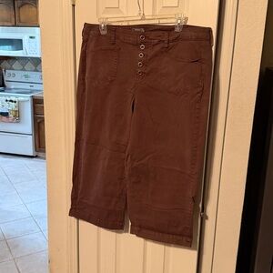 Torrid Women's Wide Leg Pants in Brown